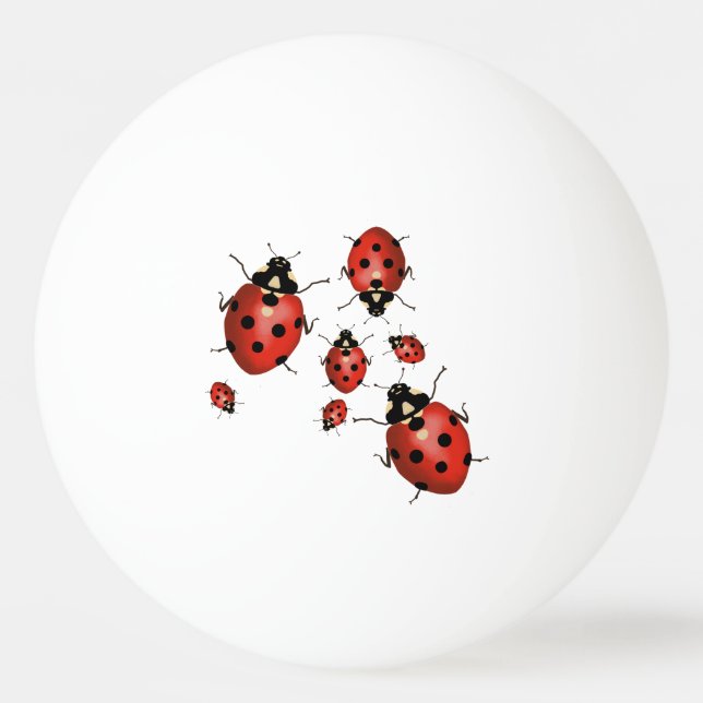 Balle De Ping Pong Ladybug (Devant)