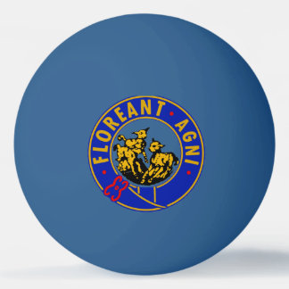 Balle De Ping Pong Lambs Pong