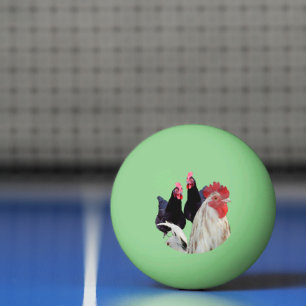 Balle De Ping Pong "Le coq blanc et ses poules noires"
