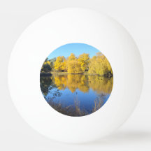 Le miroir doré de la nature à Castlemaine