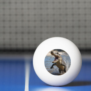 Balle De Ping Pong Mâchoires effrayantes : Crocodile australien sauta