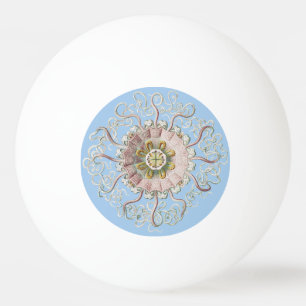 Balle De Ping Pong Méduse rose nautique d'Ernst Haeckel