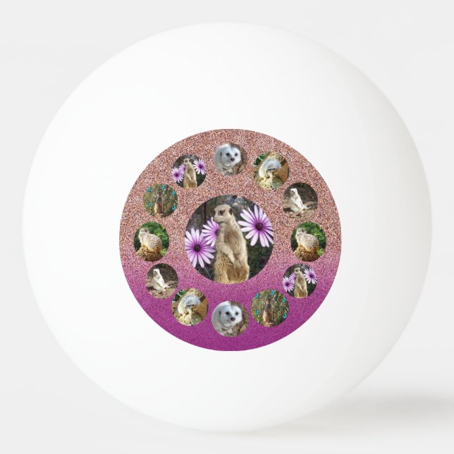 Balle De Ping Pong Meerkat Rose Surprise, Balle Ping Pong (Devant)