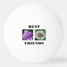 Meilleur Modèle d'images des amis