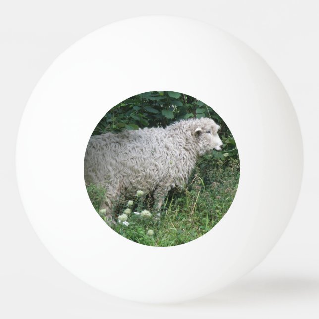 Balle De Ping Pong Mignonette Gourde Manger Ping Pong Ball (Devant)