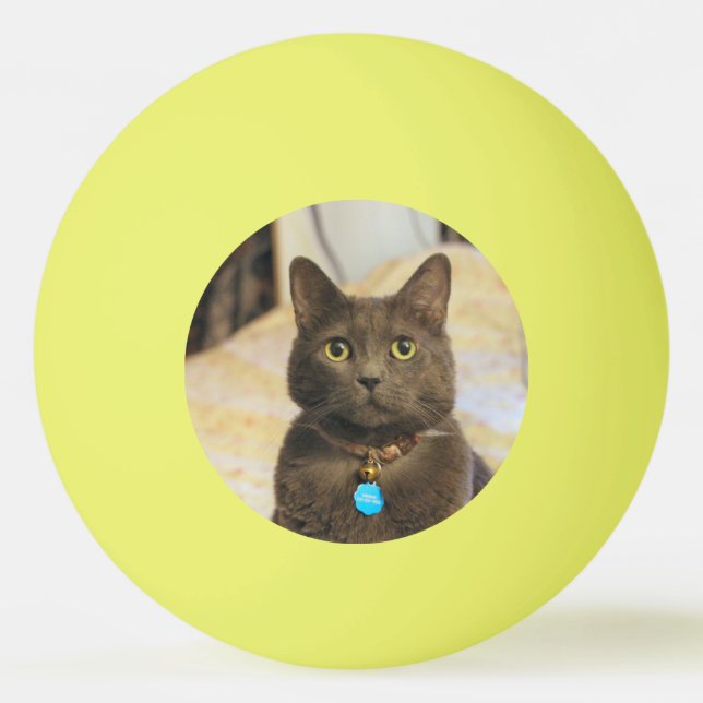 Balle De Ping Pong Mims (Devant)