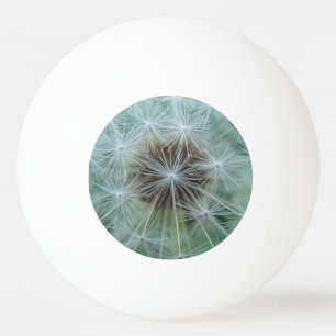 Balle De Ping Pong Motif blanc