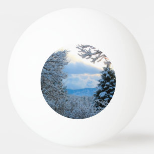 Balle De Ping Pong Neige sur pins dans les montagnes rocheuses du Col