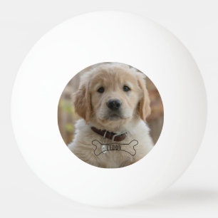 BALLE DE PING PONG NOM DE PHOTO DE CHIOT CHIEN OS MEILLEUR CHIEN MAMA