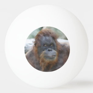 Balle De Ping Pong Orang aquarelle