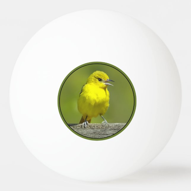 Balle De Ping Pong Orchard Oriole - Photo originale (Devant)