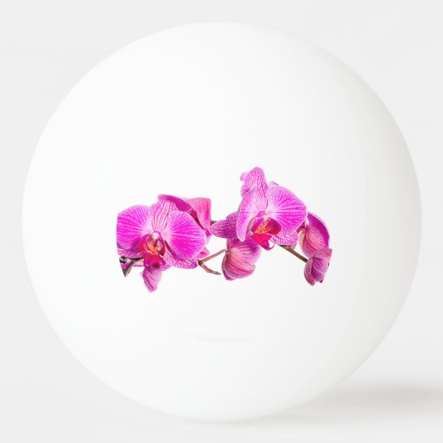 Balle De Ping Pong Orchidée (Dos)