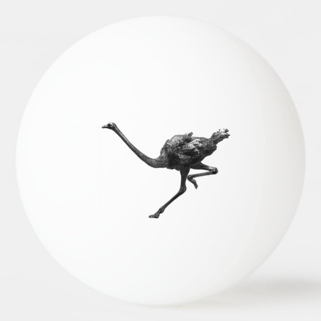 Balle De Ping Pong Ostrich Running Cool Athlète Art animal (Devant)