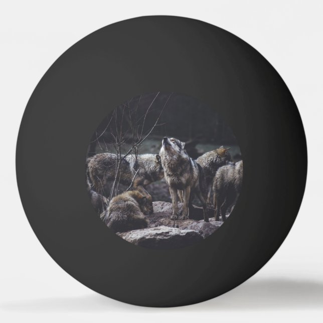 Balle De Ping Pong Pack Wolf (Devant)