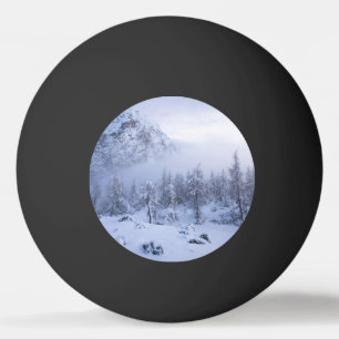 Balle De Ping Pong Pays merveilleux d'hiver, brouillard, forêt d'épin