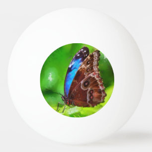 Balle De Ping Pong Peinture à papillon