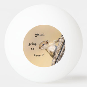 Balle De Ping Pong Photo d'écureuil d'arbre mignonne et bruyante