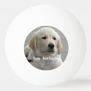 Balle De Ping Pong Photo et nom personnalisés Golden Retriever Dog