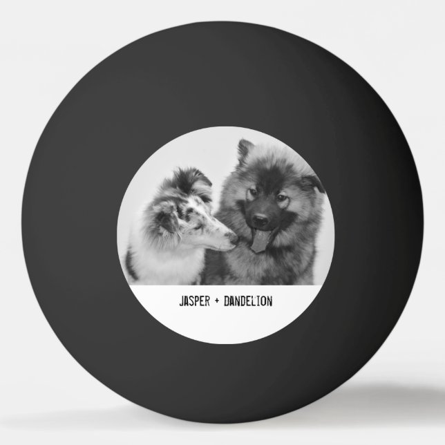 Balle De Ping Pong Photo simple, moderne personnalisée pour animaux d (Devant)