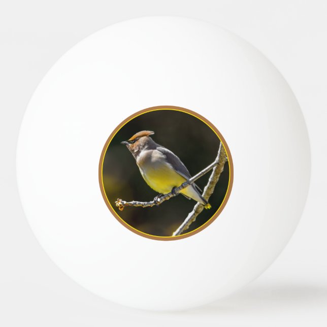 Balle De Ping Pong Photographie originale d'oiseau sauvage de Jaseur  (Devant)
