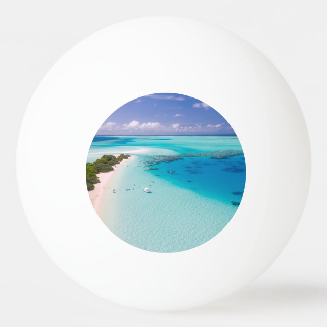 Balle De Ping Pong Plage tropicale (Devant)
