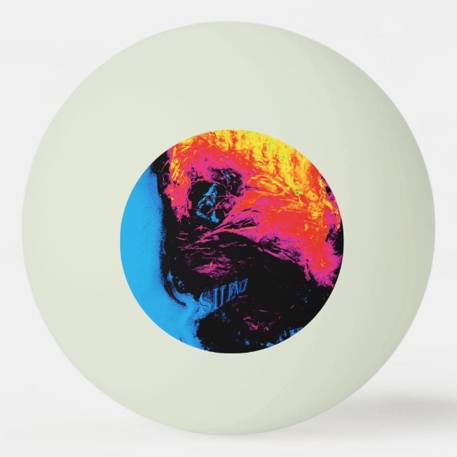 Balle De Ping Pong poivre et plastique réduits au silence (Devant)