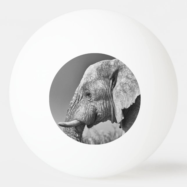 Balle De Ping Pong Portrait d'éléphant (Dos)
