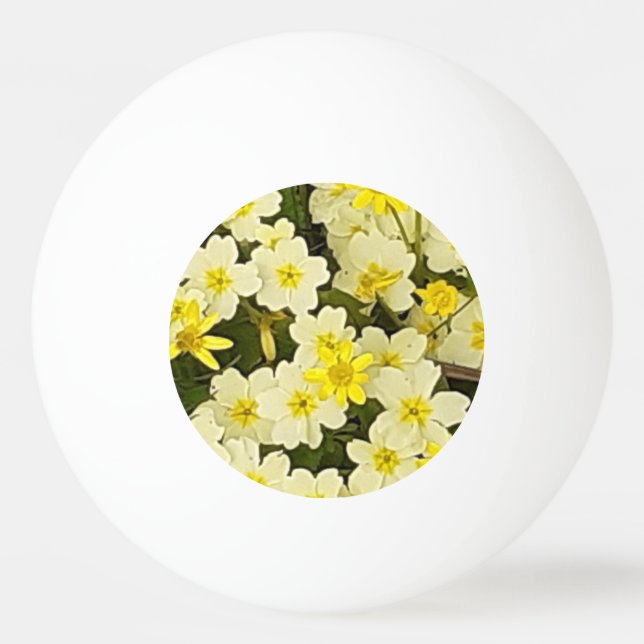 Balle De Ping Pong Primroses du printemps (Devant)