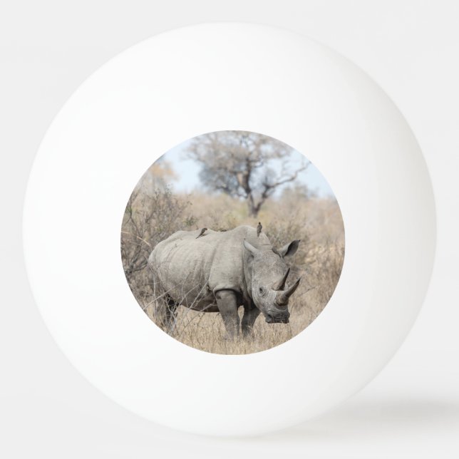Balle De Ping Pong Rhino blanc (Devant)