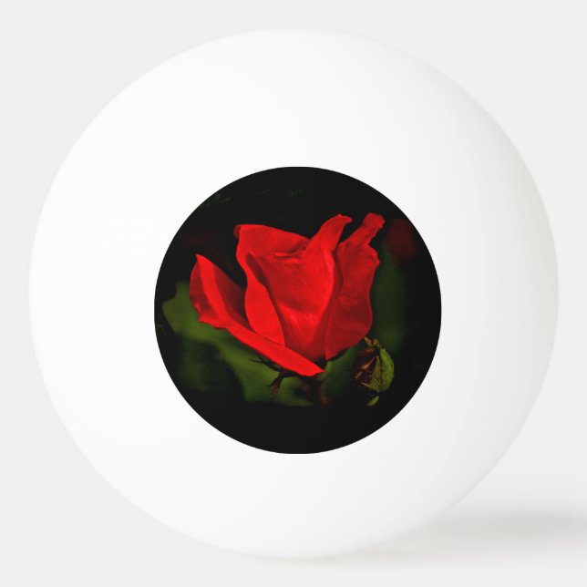 Balle De Ping Pong Rose rouge - Passion noire (Devant)