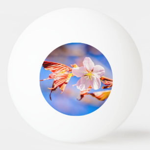 Balle De Ping Pong Rouge Sakura bleu ciel