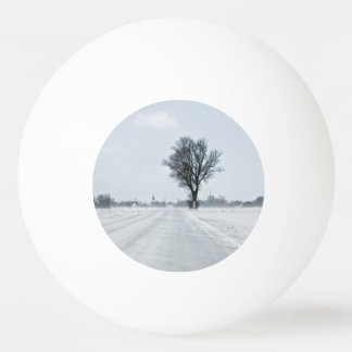 Balle De Ping Pong Rural winter road