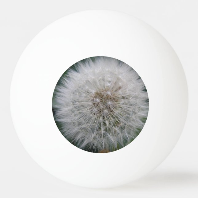 Balle De Ping Pong Saisie Dandelion Fleur Ping Ping Ball (Devant)