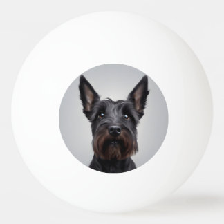 Balle De Ping Pong Scottish Terrier