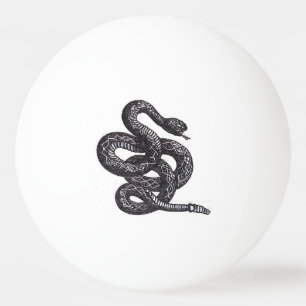 Balle De Ping Pong Serpent Crotalus Cascavella (Vipère à Piton Venime