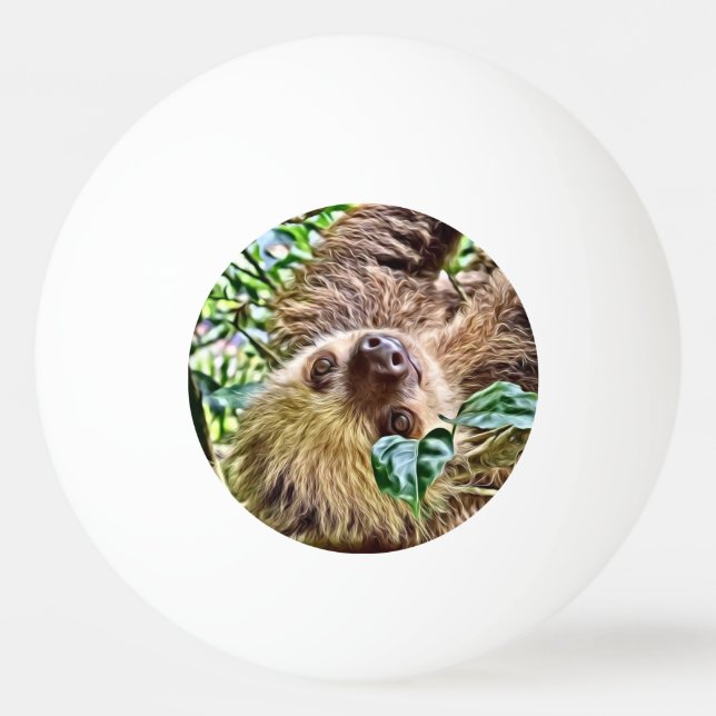 Balle De Ping Pong Sloth peint (Devant)