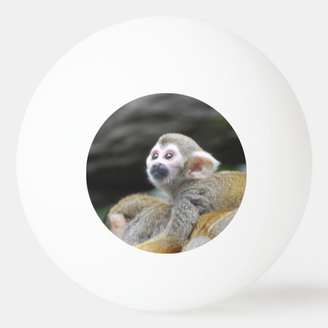 Balle De Ping Pong squirrel-monkey-39.jpg (Devant)