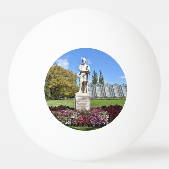 Balle De Ping Pong Statue Sir William Wallace (Devant)