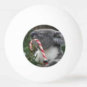 Balle De Ping Pong Sucre de canne de Noël Koala