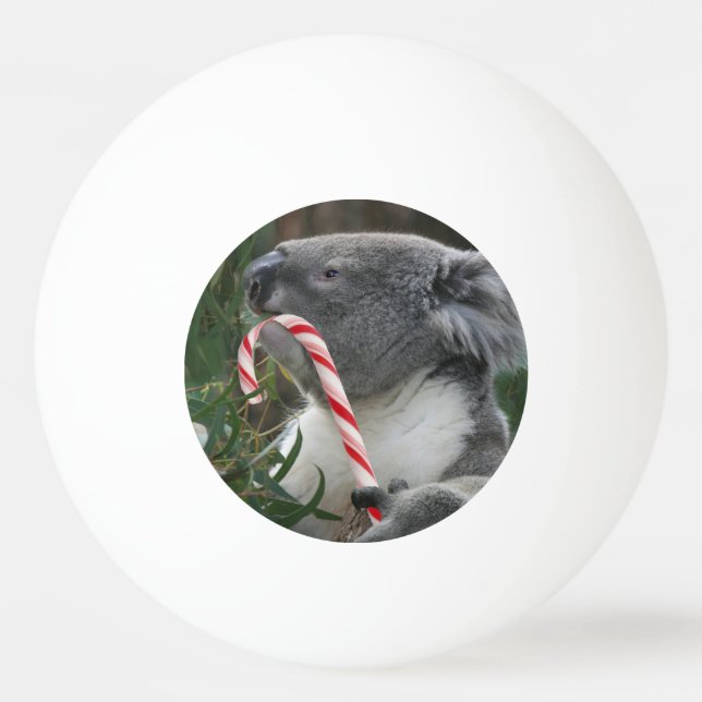 Balle De Ping Pong Sucre de canne de Noël Koala (Dos)