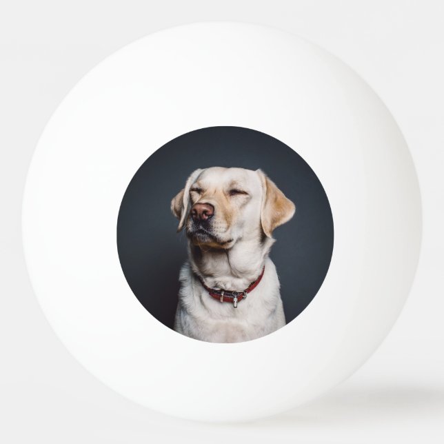 Balle De Ping Pong Télécharger votre photo (Devant)