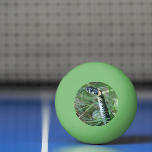 Balle De Ping Pong Tête de serpent