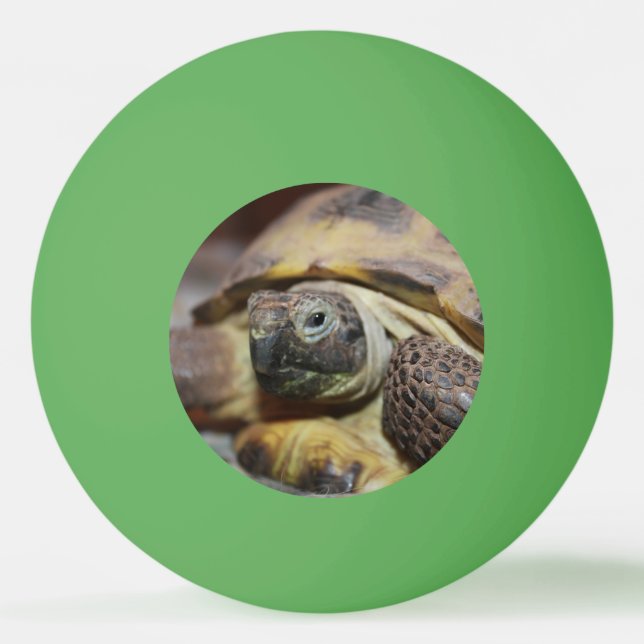 Balle De Ping Pong Tibbs (Devant)