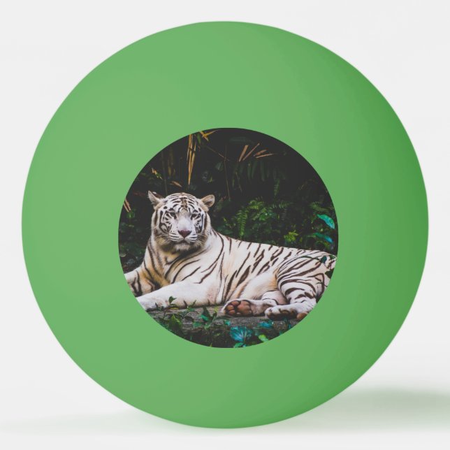 Balle De Ping Pong Tigre (Devant)
