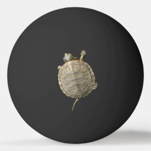 Balle De Ping Pong Tortue minuscule sur le noir