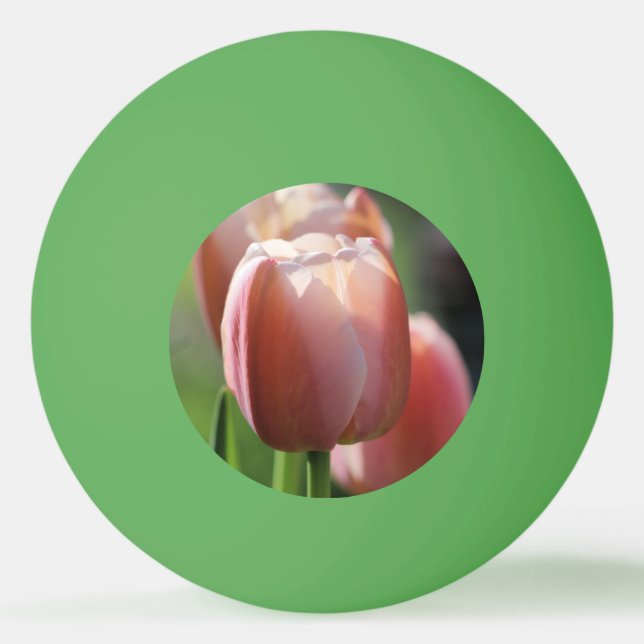 Balle De Ping Pong Tulipes roses (Devant)