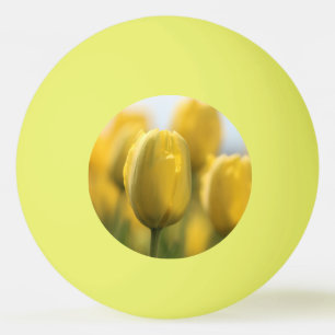 Balle De Ping Pong Tulipes solaires