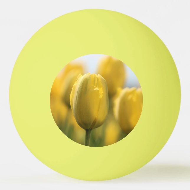 Balle De Ping Pong Tulipes solaires (Devant)