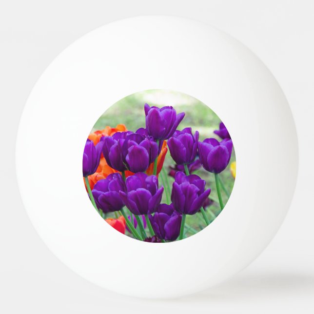 Balle De Ping Pong Tulipes violettes foncées  puzzle    (Devant)