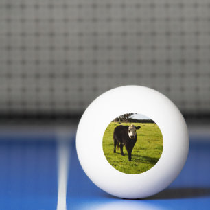 Balle De Ping Pong Vache Noire À Visage Blanc Et Mohawk,